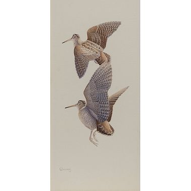 Woodcock Pair by Owen Williams