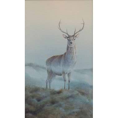 Stag Morning Mist by Owen Williams