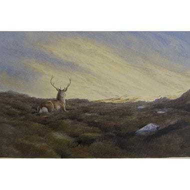 Resting by Owen Williams