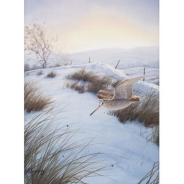 Boxing Day Woodcock by Owen Williams