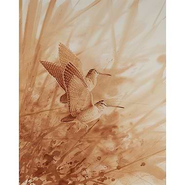Flushed by Owen Williams