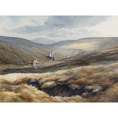 Perthshire Grouse by Owen Williams