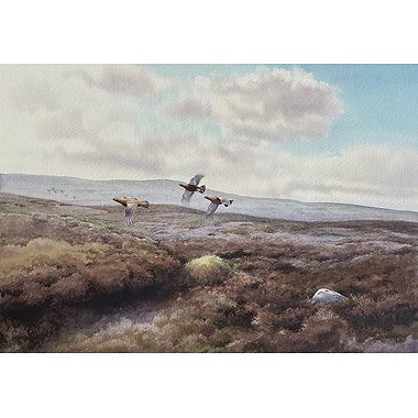 September Grouse by Owen Williams