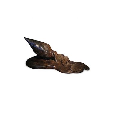 Curlew Bronze Edition of 12 by Owen Williams