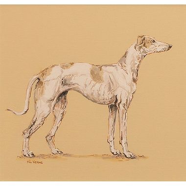 Piper the Greyhound  by Nicola Kevane