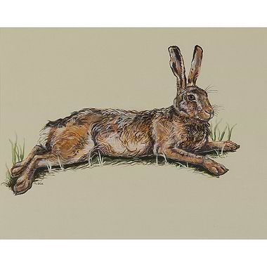 Hare Resting in Spring Wheat by Nicola Kevane