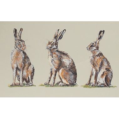 Three Hares by Nicola Kevane