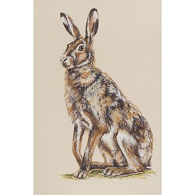 Dew Hopper by Nicola Kevane