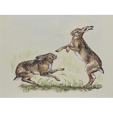 Hare Skirmish by Nicola Kevane