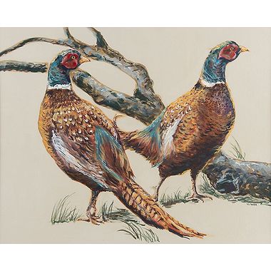 Pheasants from Studio Window by Nicola Kevane