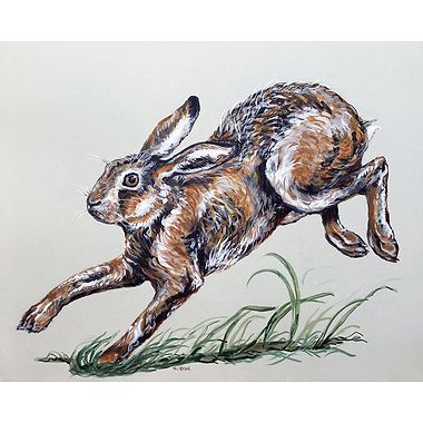 Scampering Hare (Running Hare) by Nicola Kevane