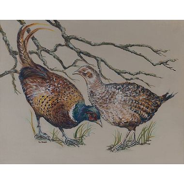Pheasants by Nicola Kevane