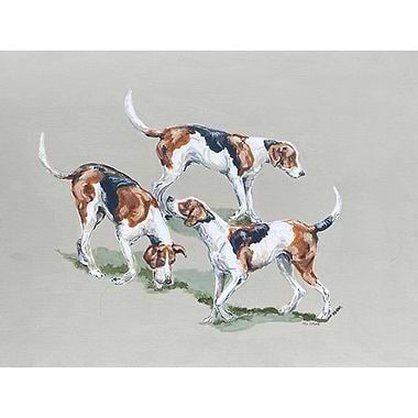 Wayward Hounds by Nicola Kevane