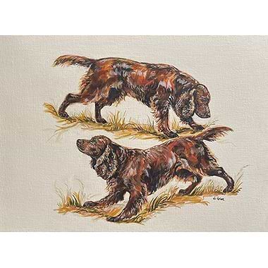 Field Spaniels by Nicola Kevane