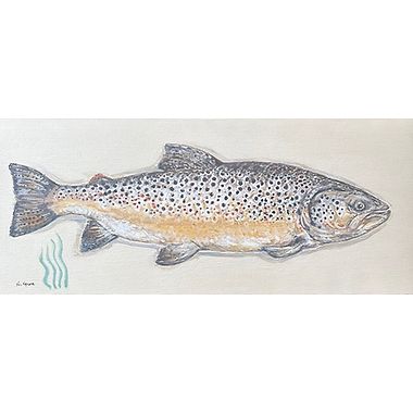 Brown Trout by Nicola Kevane