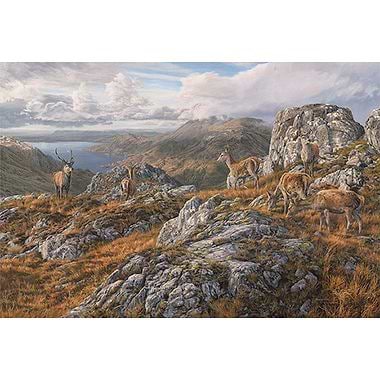 Ben Sgritheall by Martin Ridley