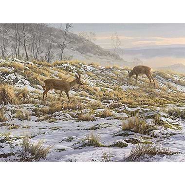Thawing Snow by Martin Ridley
