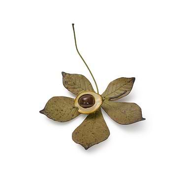 Baby Half Shell and Single Removable Nut on Medium Leaf by Penkridge Ceramics
