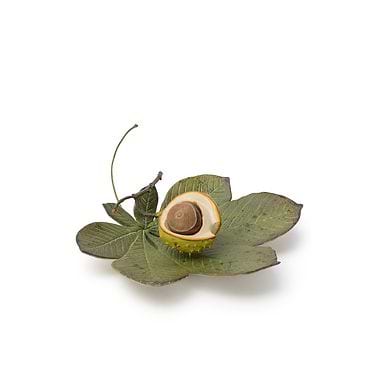Half Shell and Single Removable Nut on Large Leaf by Penkridge Ceramics