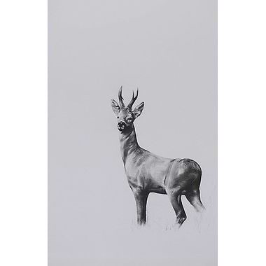 Roe by Katie Hargreaves