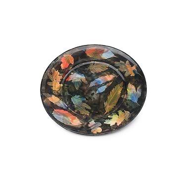 Coloured Leaves and Black Plate by Sophie MacCarthy