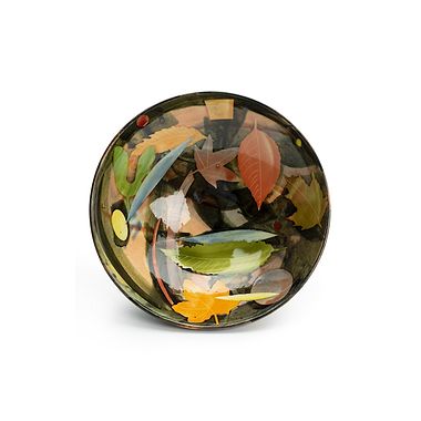 Autumn Leaves Shallow Bowl by Sophie MacCarthy