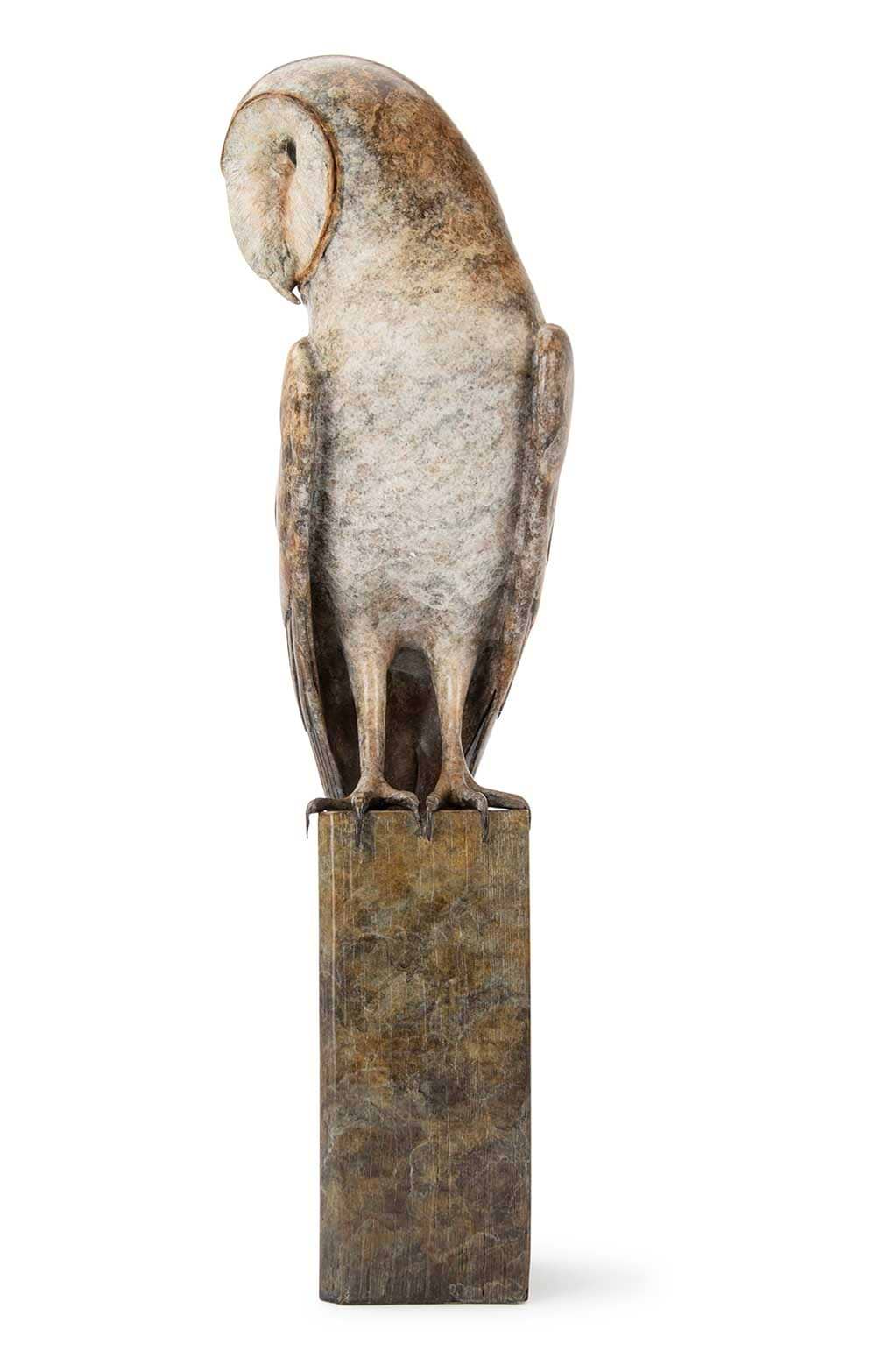 Barn Owl by Eddie Hallam | Eddie Hallam | House Of Bruar