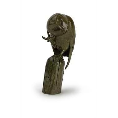 Barn Owl by Patricia Northcroft