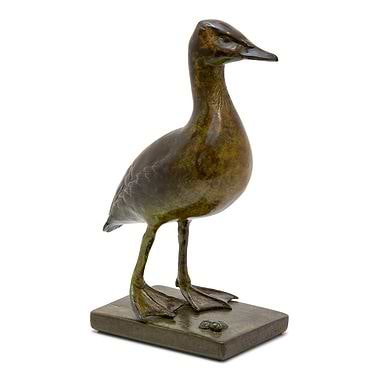 Whistling Duck by Patricia Northcroft