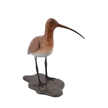 Curlew by Eddie Hallam
