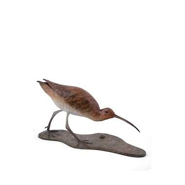 Curlew MKII by Eddie Hallam
