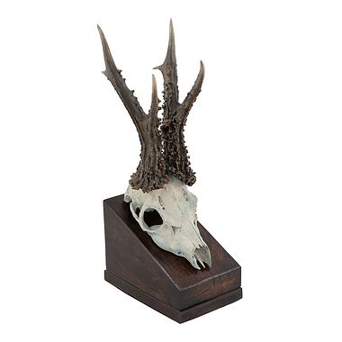 Platinum Head & Oak Plinth by Bryan Hanlon