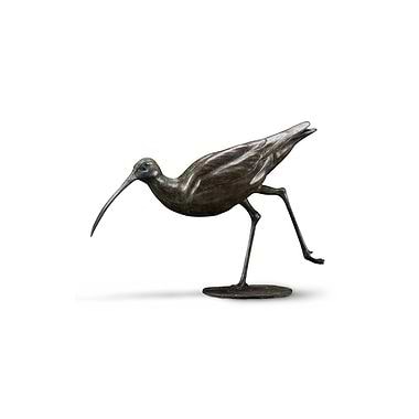 Curlew by Ian Greensitt
