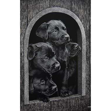 Labrador Puppies in Kennel by Keith Sykes