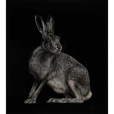Brown Hare by Keith Sykes