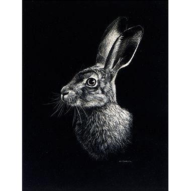 Leveret by Keith Sykes