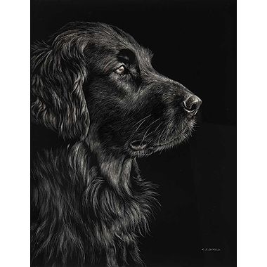 Flat Coated Retreiver by Keith Sykes