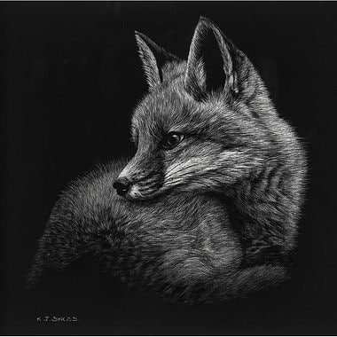 Fox Cub by Keith Sykes