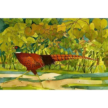 Running Pheasant by Mary Ann Rogers