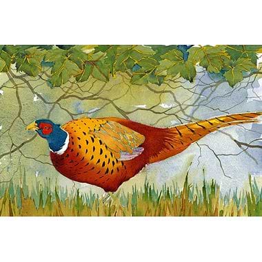 Creeping Pheasant by Mary Ann Rogers