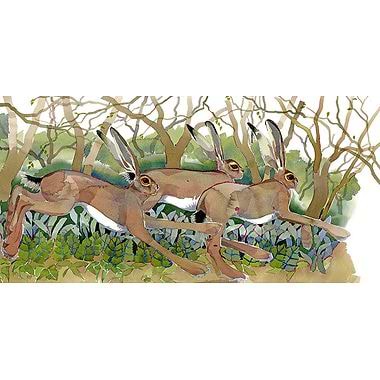 Hare Play by Mary Ann Rogers