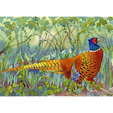 Pheasant by Mary Ann Rogers