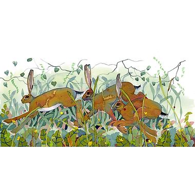Racing Hares by Mary Ann Rogers