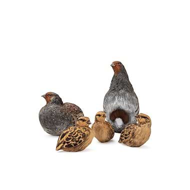 Grey Partridge Family (Cock, Hen and 3 Chicks) by Karen Fawcett