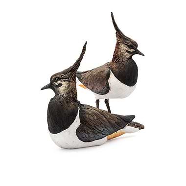 Lapwing Pair (Male and Female) by Karen Fawcett