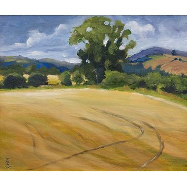 Summerfields, Galloway by Elizabeth Gilbey