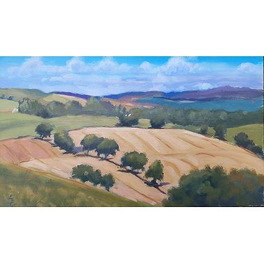 Fields from Abernyte by Elizabeth Gilbey