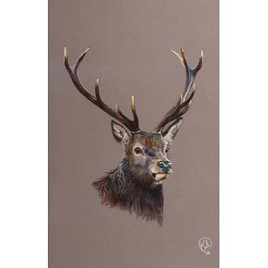 Rutting Stag Pastel  by Kevin Alderson- Smith