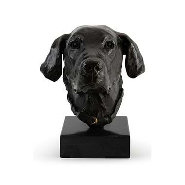 Labrador Head by Jenna Gearing