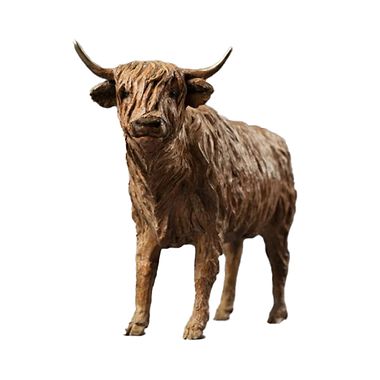 Highland Cow Jenna Gearing